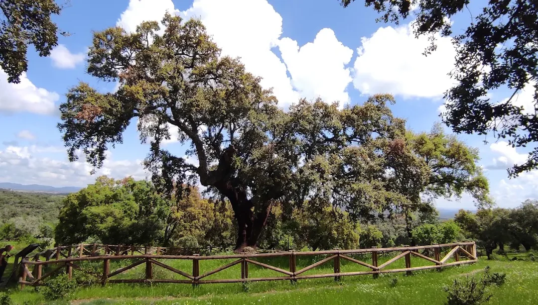 Sierra de San Pedro: mejores rutas de senderismo y naturaleza en Alburquerque