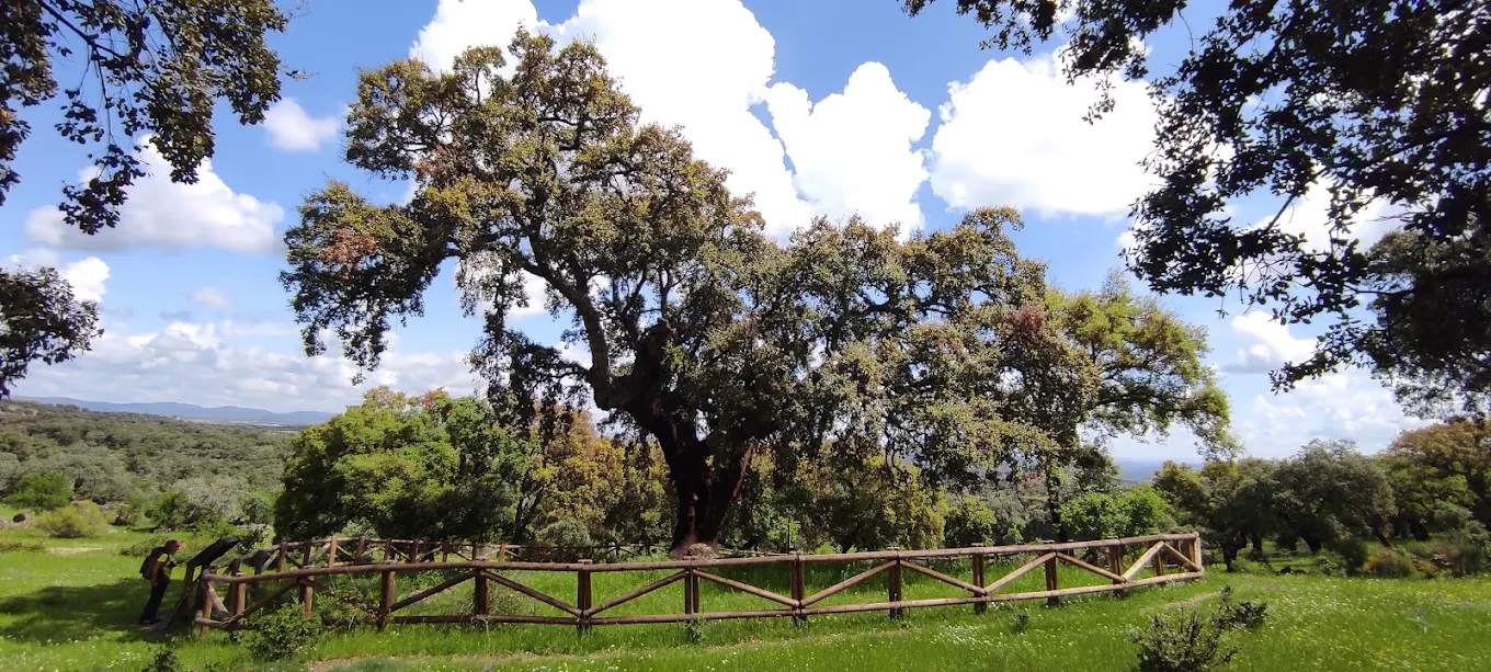 Sierra de San Pedro: mejores rutas de senderismo y naturaleza en Alburquerque